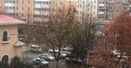 111129-IMG_2700