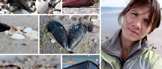 120808-Beach