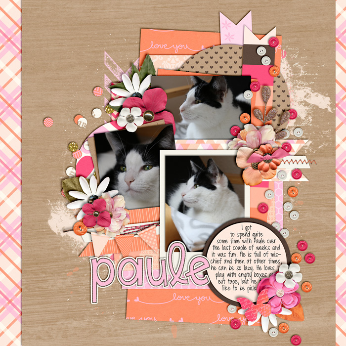 digital scrapbook layout, cat, pet